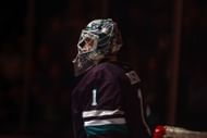 Lukas Dostal of the NHL's Anaheim Ducks